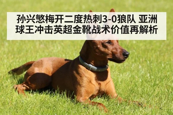 孙兴慜梅开二度热刺3-0狼队 亚洲球王冲击英超金靴战术价值再解析